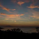 M * Sorrento