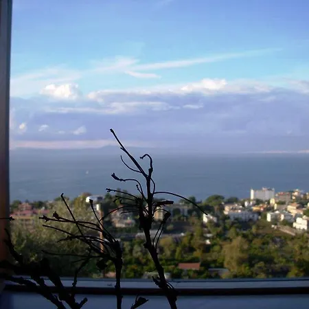 Plaza Coast *